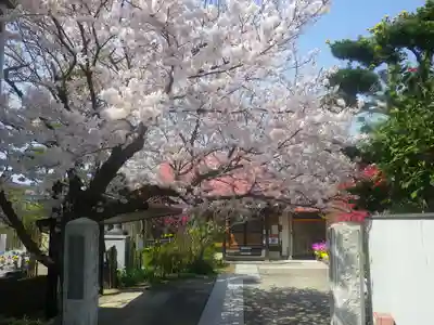 向福寺のその他建物