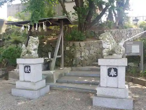 飛鳥戸神社の狛犬