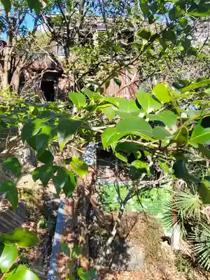 金剛閣(栃木県)