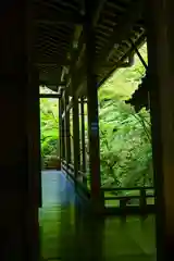 禅林寺（永観堂）の建物その他