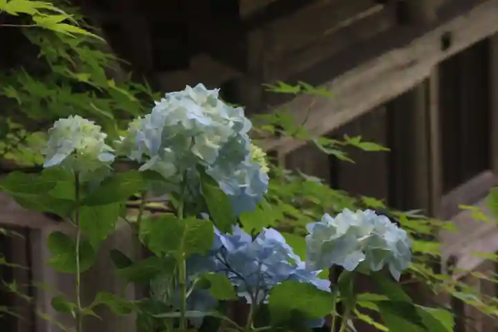 国宝 大法寺の自然