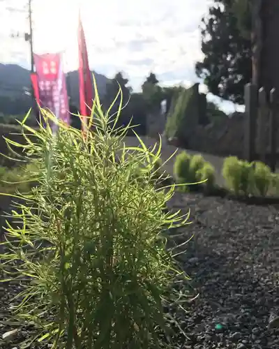 高司神社〜むすびの神の鎮まる社〜(福島県)