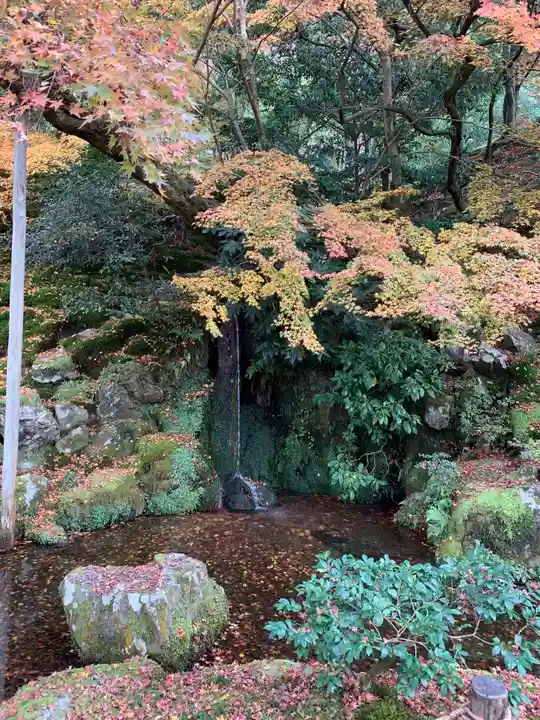 慈照寺(慈照禅寺・銀閣寺)の景色