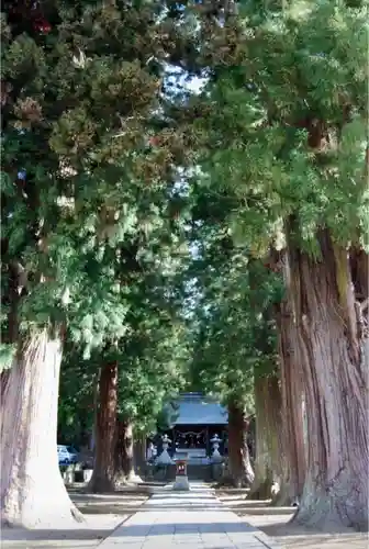 河口浅間神社の自然
