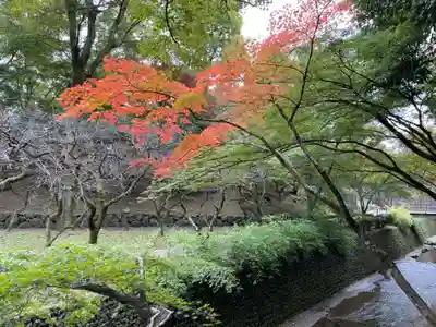 北野天満宮(京都府)