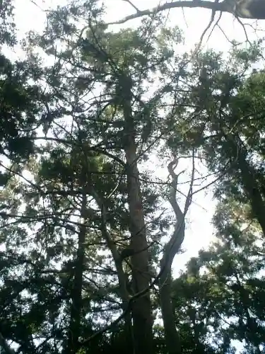 葛原岡神社の自然