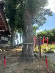 飯福神社(群馬県)