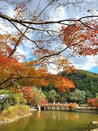 白水阿弥陀堂の自然