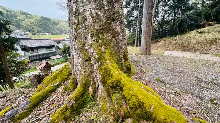 白藤神社(兵庫県)