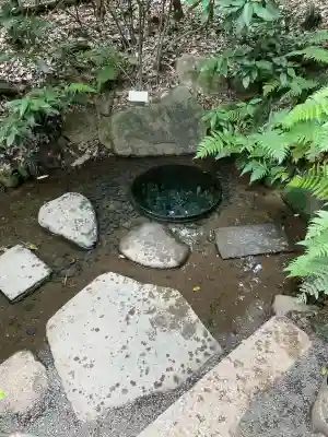 明治神宮(東京都)