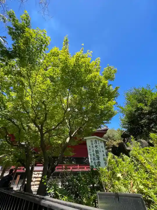 清水観音堂(東京都)