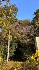 兵主神社(滋賀県)