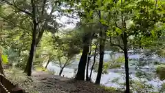 滝尻王子宮十郷神社の自然