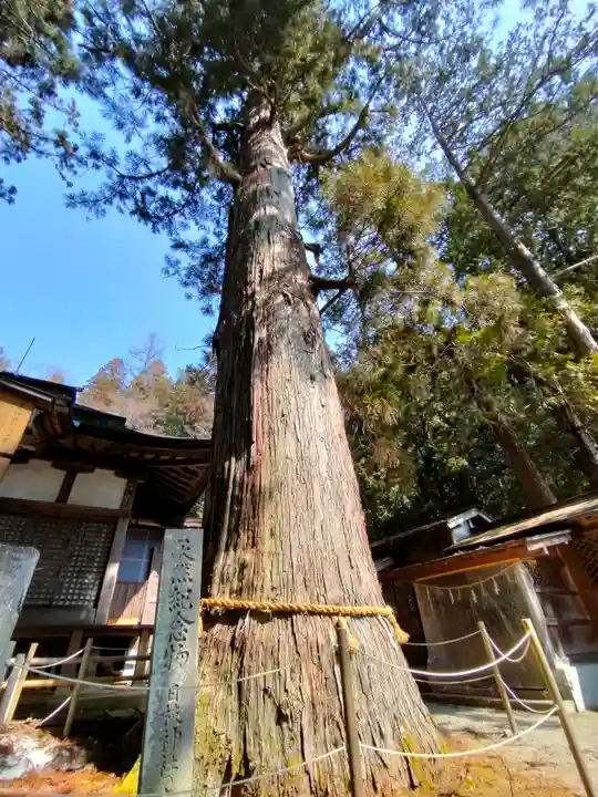 日枝神社(岐阜県)