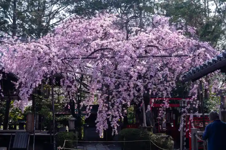 水火天満宮(京都府)