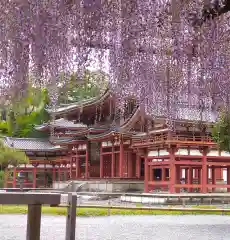 平等院(京都府)