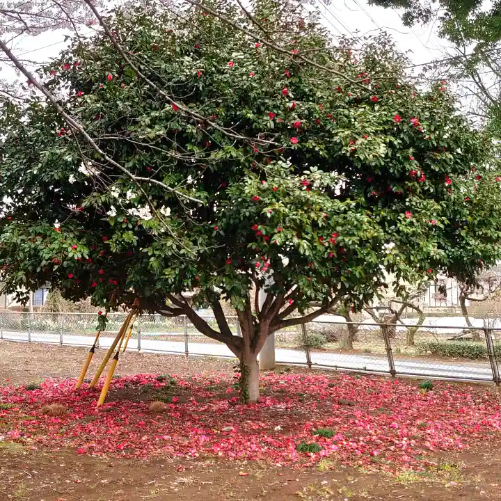 東蕗田天満社の自然