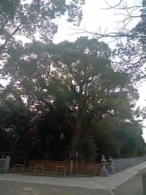 和泉國一之宮　大鳥大社(大阪府)