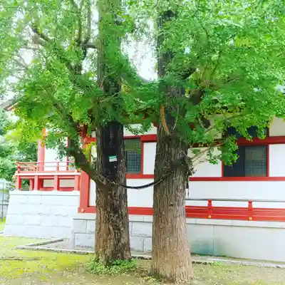香取神社のその他建物
