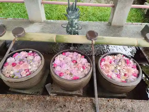 津島神社の手水舎