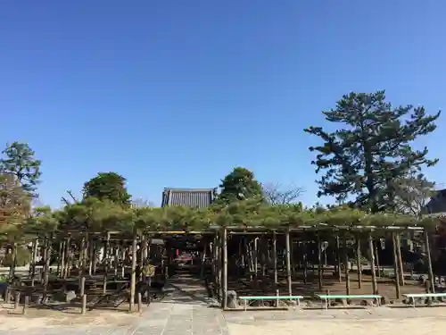 善養寺の庭園