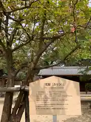 弓弦羽神社(兵庫県)