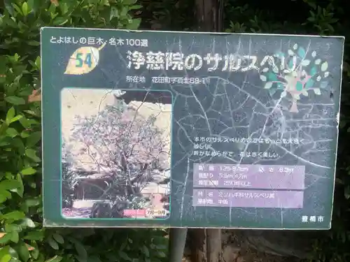 浄慈院(愛知県)