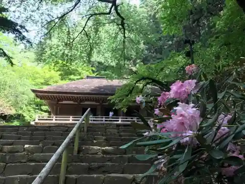 室生寺の本殿