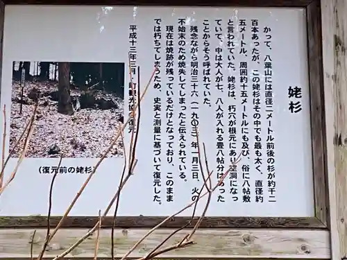 天台寺の建物その他