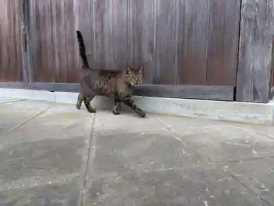 正覚寺(福井県)