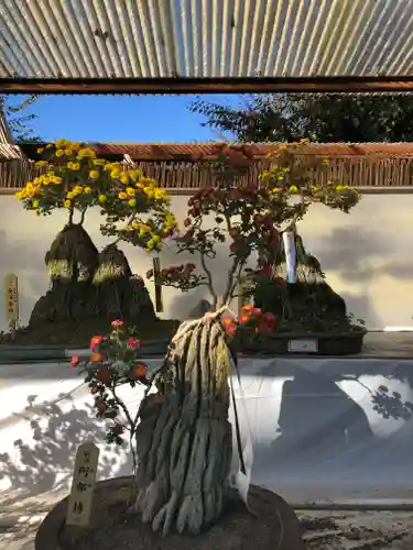 惣宗寺のその他建物