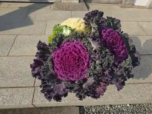 葛城禅寺(奈良県)