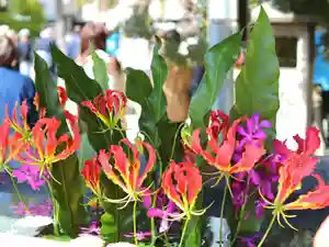 三津厳島神社の手水舎(2022年04月19日(火) 13時18分32秒投稿)