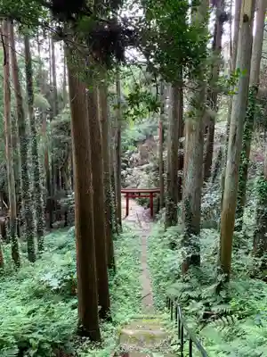 熊野大神(千葉県)