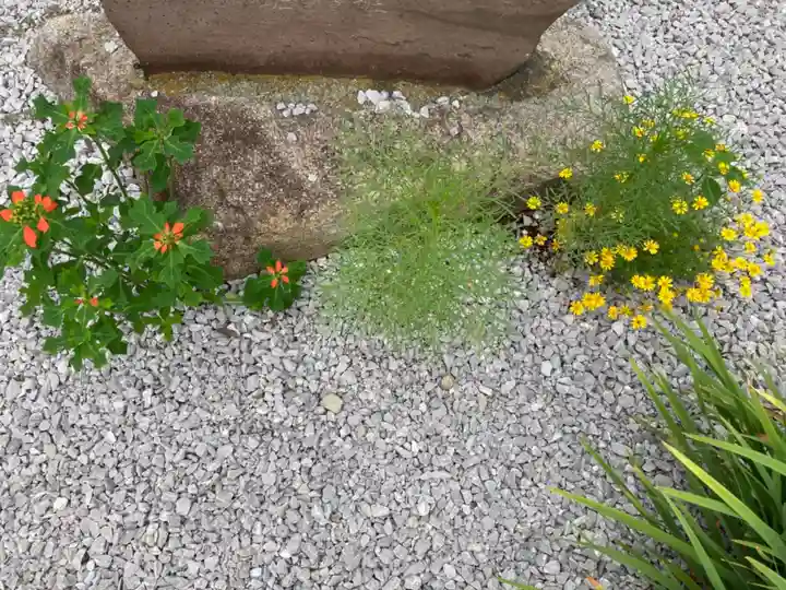 八王子神社の自然
