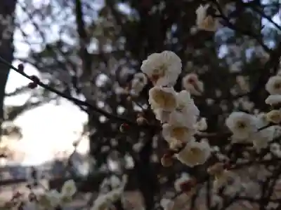 速谷神社(広島県)