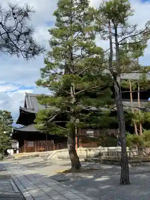 妙心寺（妙心禅寺）(京都府)