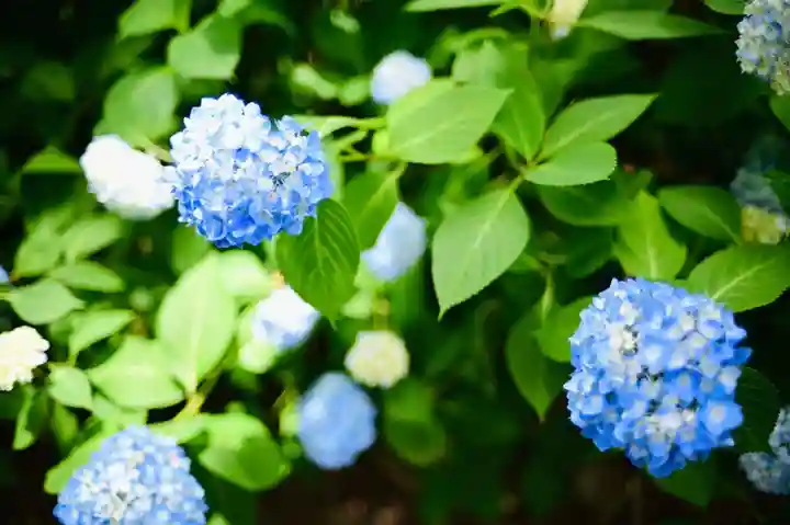 浄土寺(兵庫県)