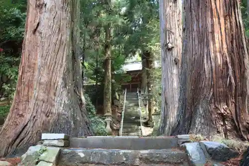 鹿島大神宮の自然