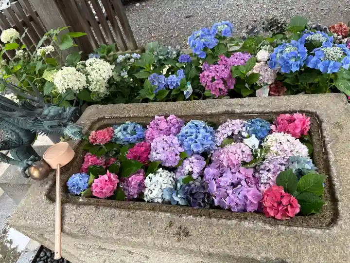 天明宿星宮神社(栃木県)