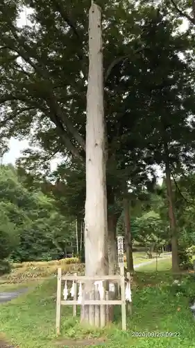 諏訪大社上社前宮のその他建物