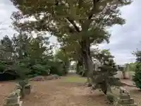 八幡神社のその他建物