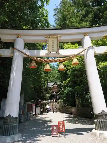 宝登山神社の鳥居