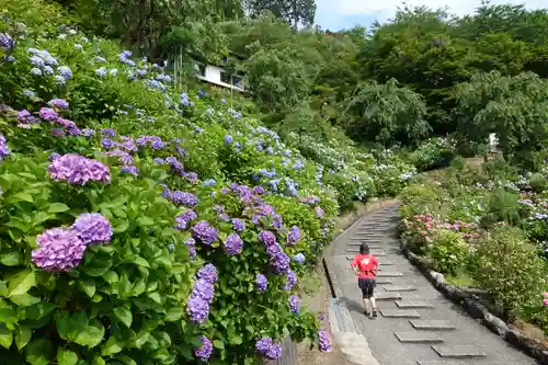 善峯寺の庭園