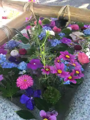 住吉神社の手水舎