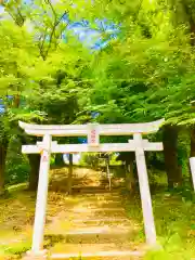 浅間神社の鳥居