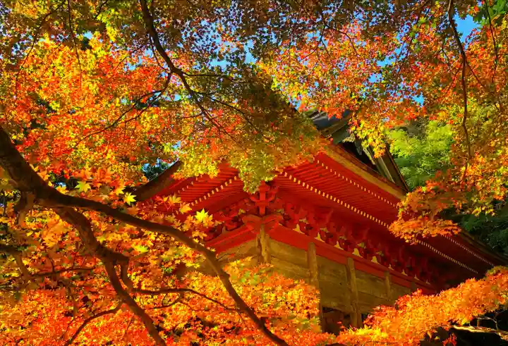 鰐淵寺(島根県)