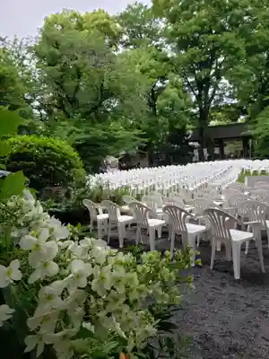 阿佐ヶ谷神明宮(東京都)