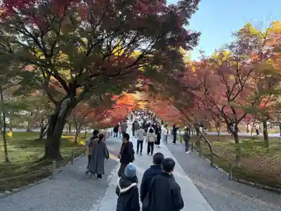南禅寺(京都府)