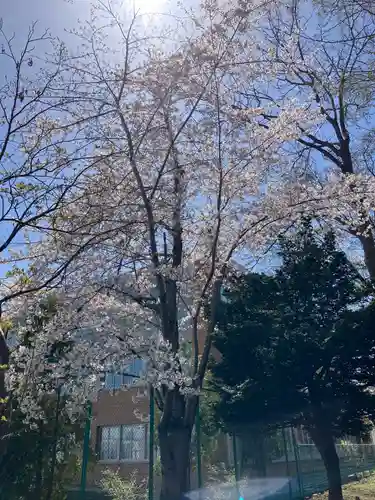 江南神社(北海道)